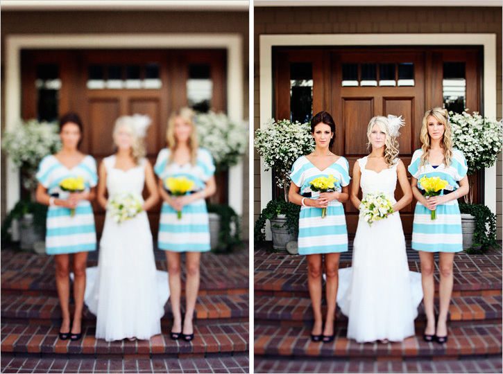 dognbird, bridesmaids and babys breath