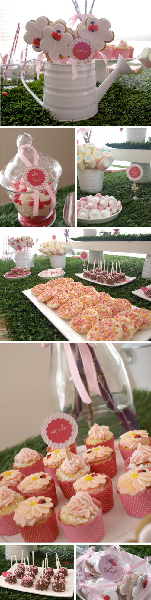 cookie, party and cupcake