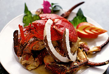 main course, seafood and food