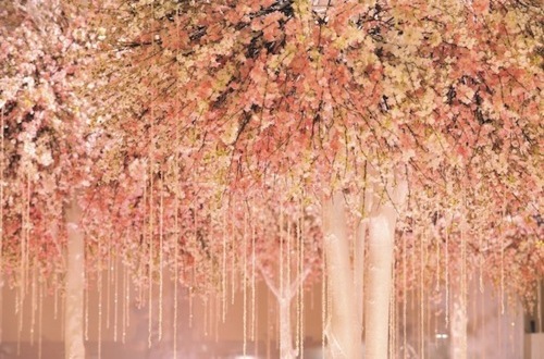 leaves, pretty and ceremony