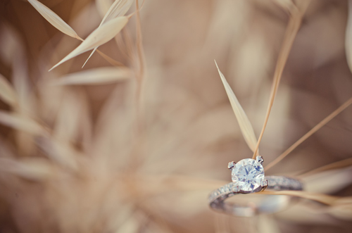 ring, detail and silver