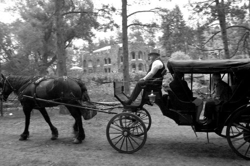 carriage, horse and castle