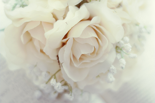 school, flowers and assignments