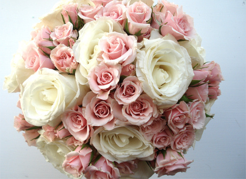 roses, day and mother's
