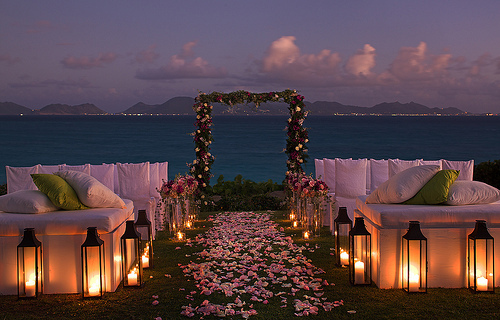 sunset, love and flowers