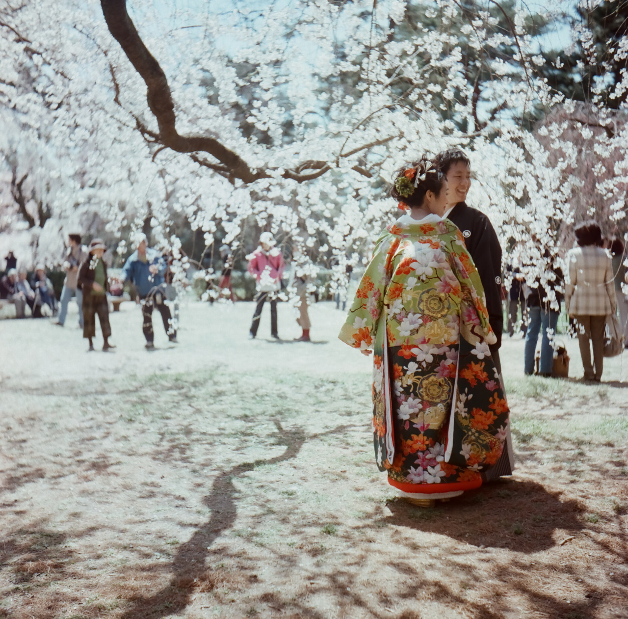 japan, couple and kimono