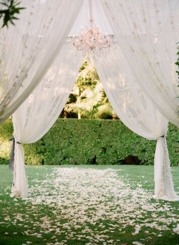 white, arbor and petals