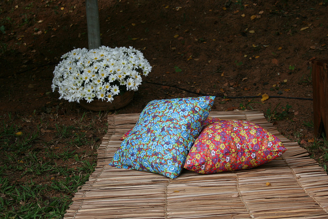 countryside, Buddhist and budista