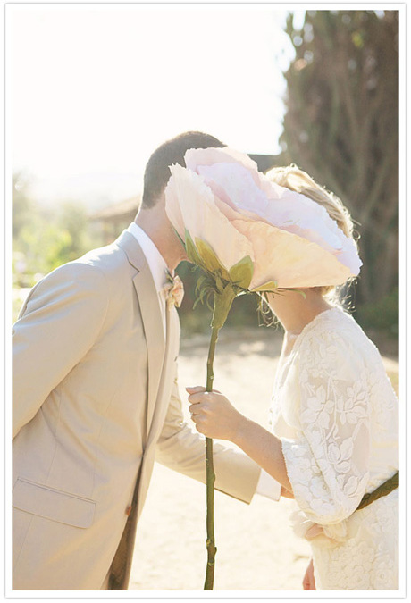 just married, kiss, flower and casamento