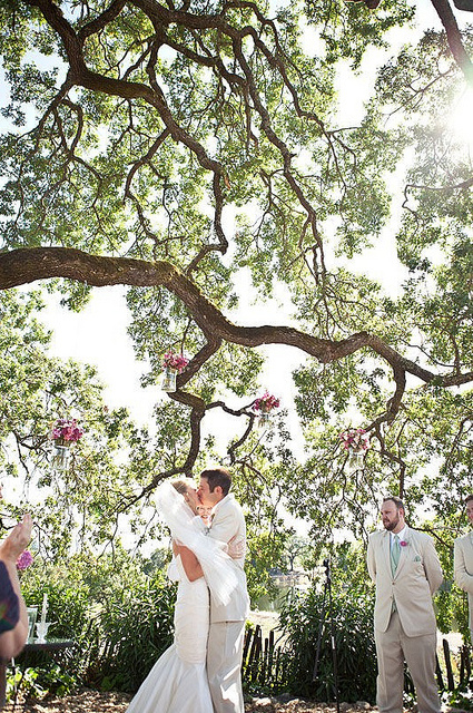 kiss, beautiful and trees