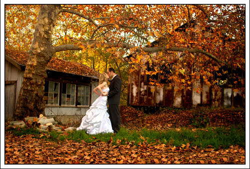 ove, autumn and couple