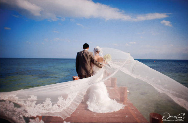 weddings, veil and ocean