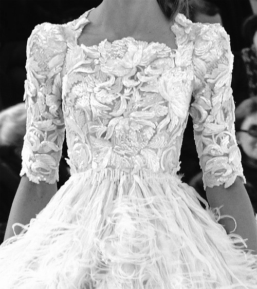 feathers, black and white, embroidery and lace