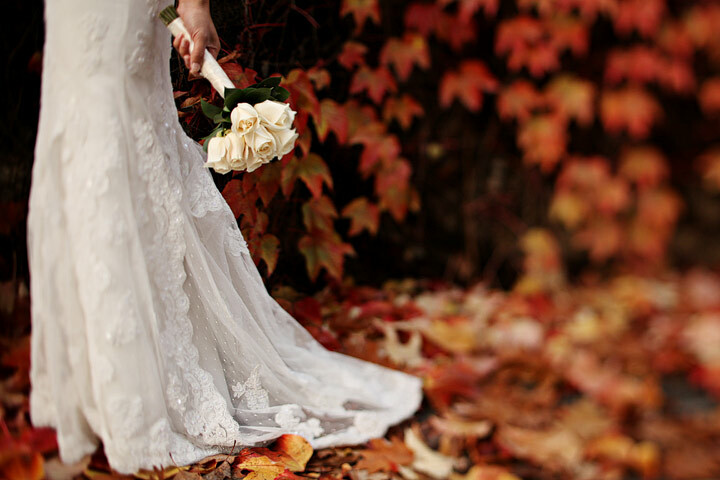 autumn, photography, flowers and pretty