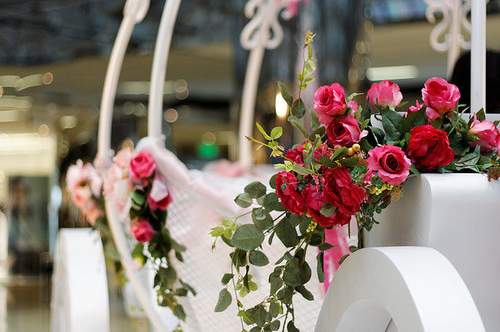 cute, roses and pink