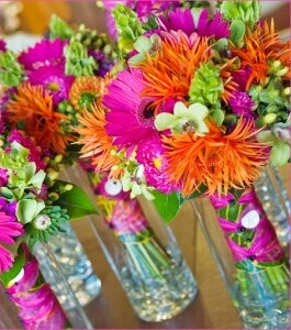 orange, bright colors and flowers