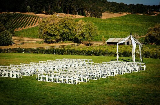 vineyard, white and green