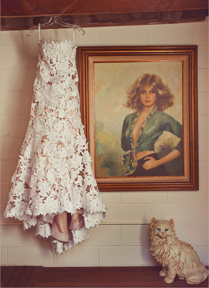 photography, cat, marriage and picture