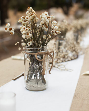 daisies