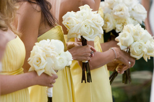 flowers, yellow and beautiful