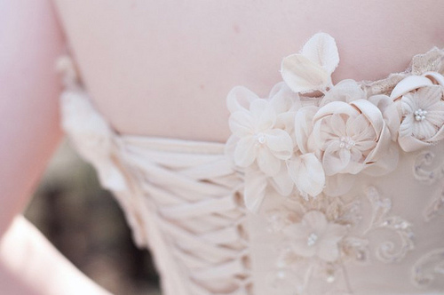 cream, pastel and roses