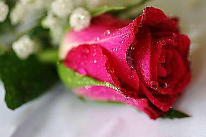water, photography, photo and red