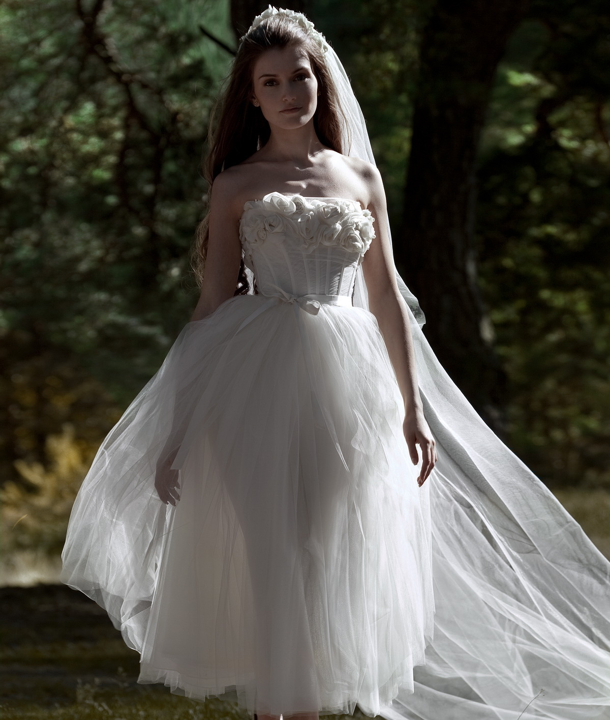 papilio, bride, girl and wedding dress