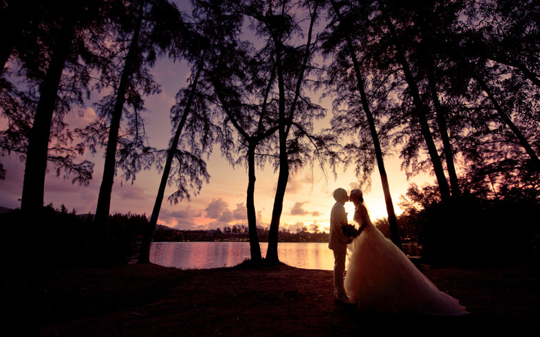 purple, torest, groom and sunset