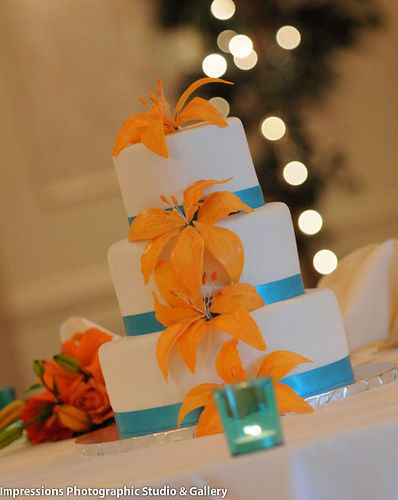 lily, cake and photography