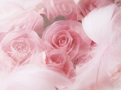 cute, roses and pretty