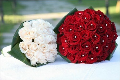 green, flowers and red