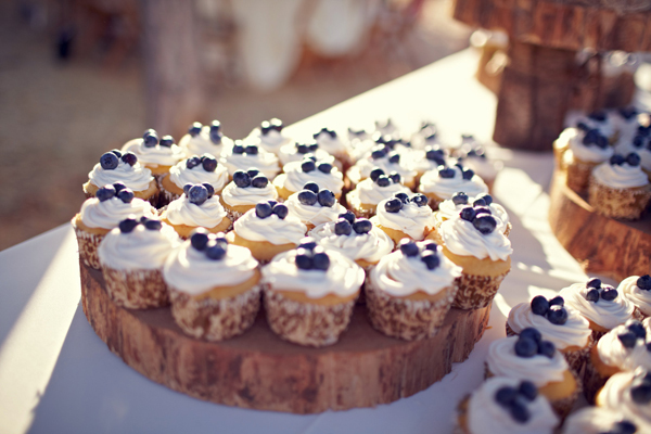 blueberry, cupcakes and frosting
