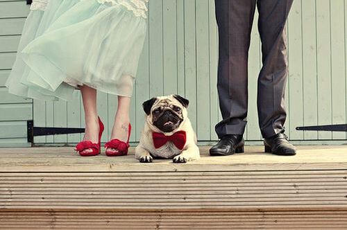 cute, love and bride