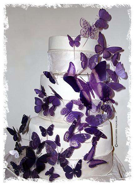 wedding cake, purple and butterfly