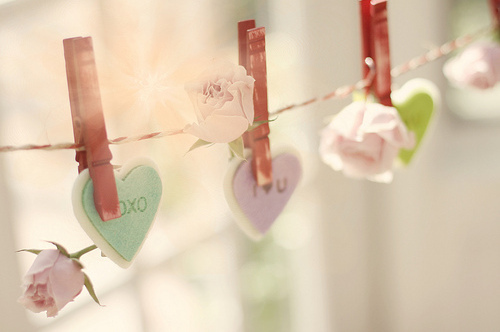 flowers, romantic and roses