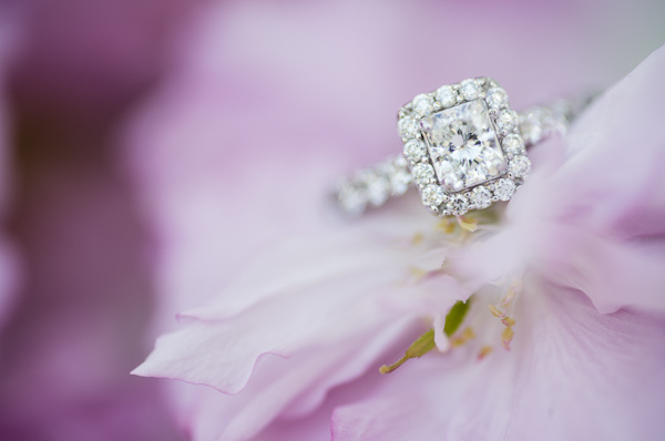 jewellry, bling and rings