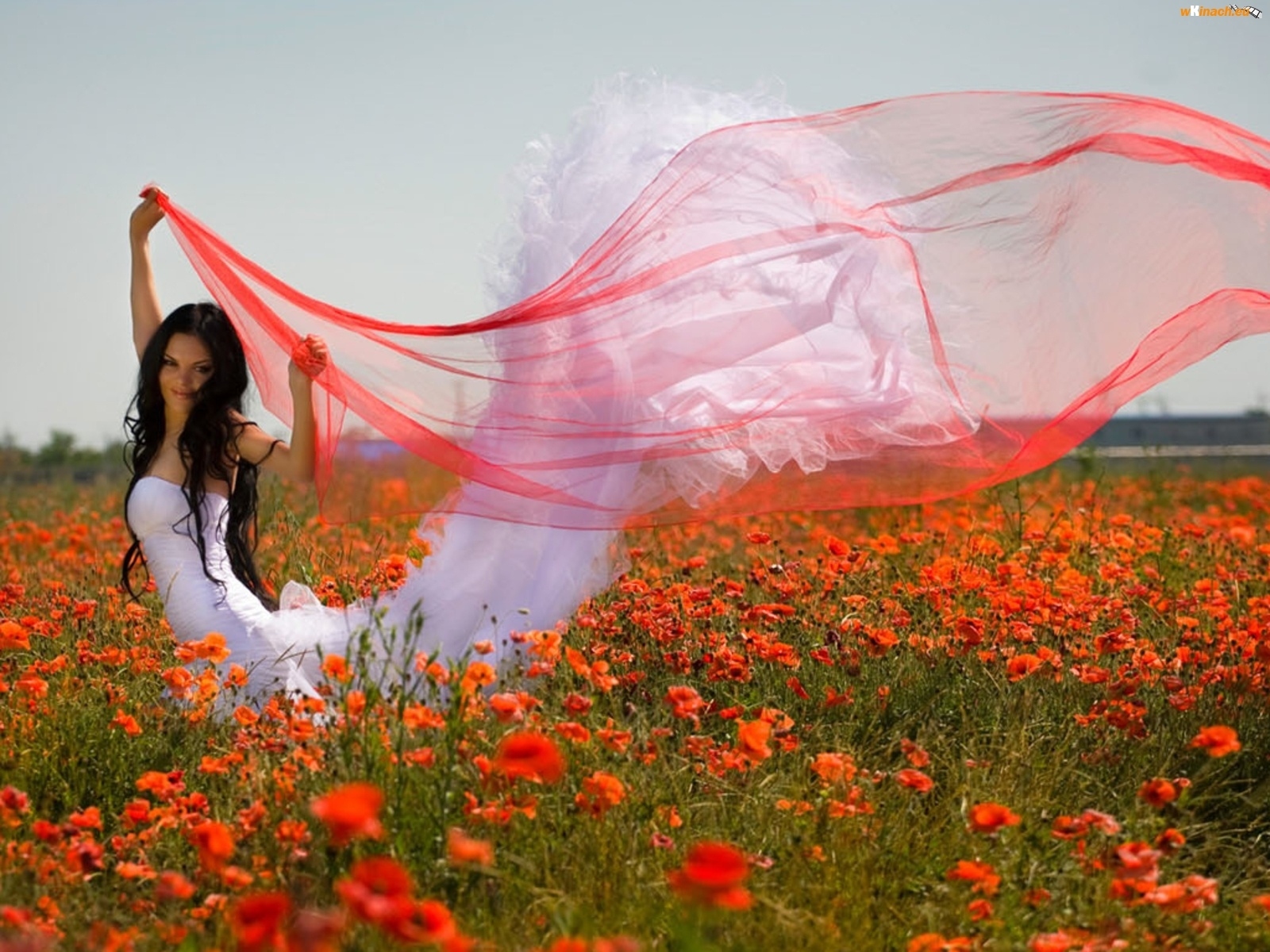 bride, poppy, dress and poppy field