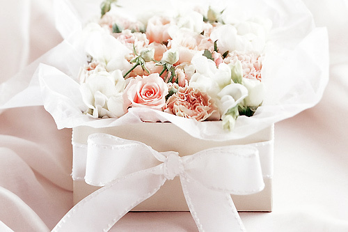 pink, flower and bow