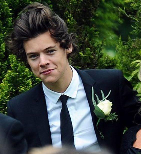Harry Styles, anne's wedding, harry and styles