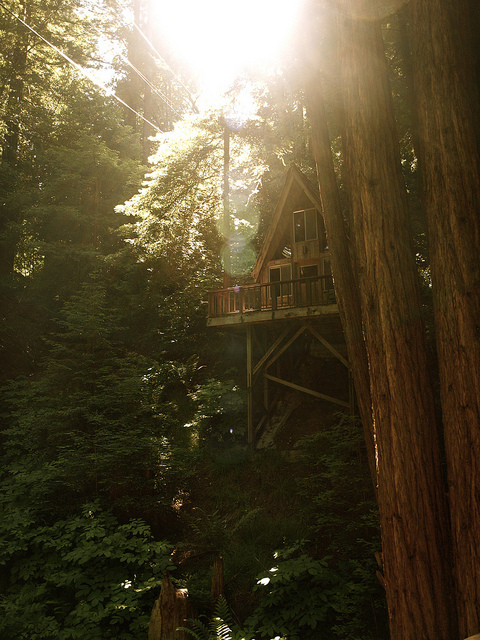 sequoia retreat center, ben lomond, e-620 and nature