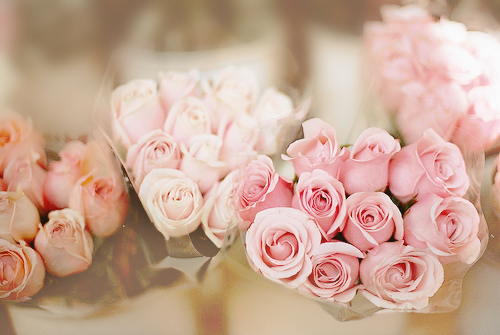 flower, inspire and beautiful