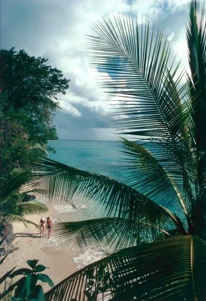 honeymoon, photo and love