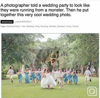 bonkers, running and photography