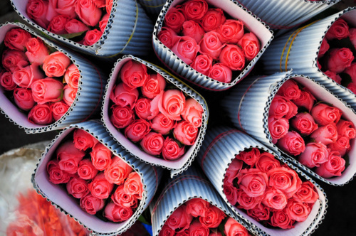 rose, sweet and girly