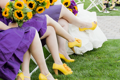 yellow, purple and sunflower