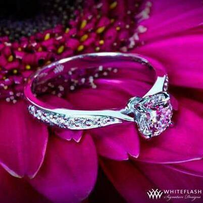 ring, beautifil and cute