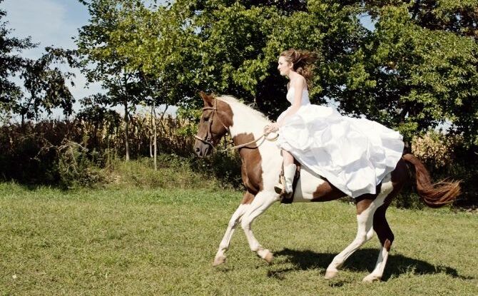 bride, forest and horse