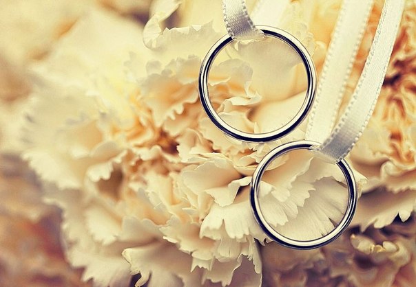 flowers, Spark and rings