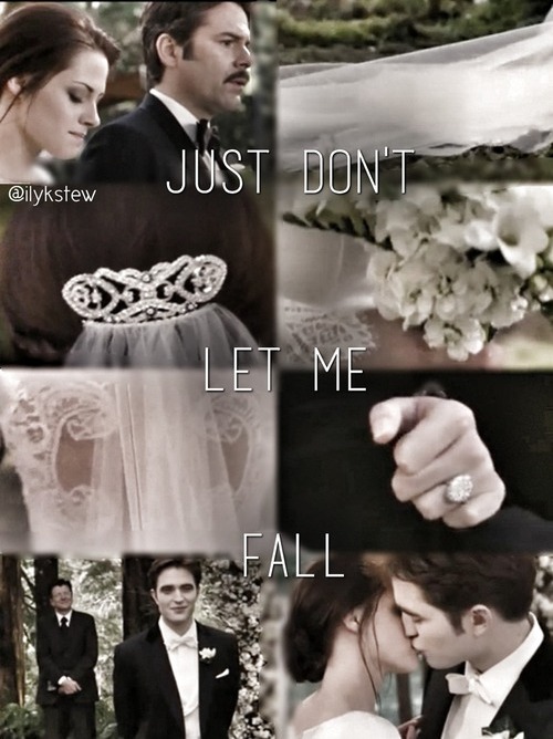 tts, twilight, charlie swan and breaking dawn