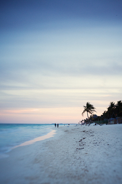sky, january13 and tropic